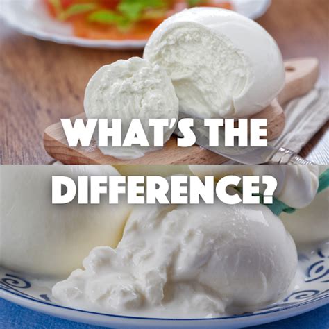 mozzarella vs buffalo.